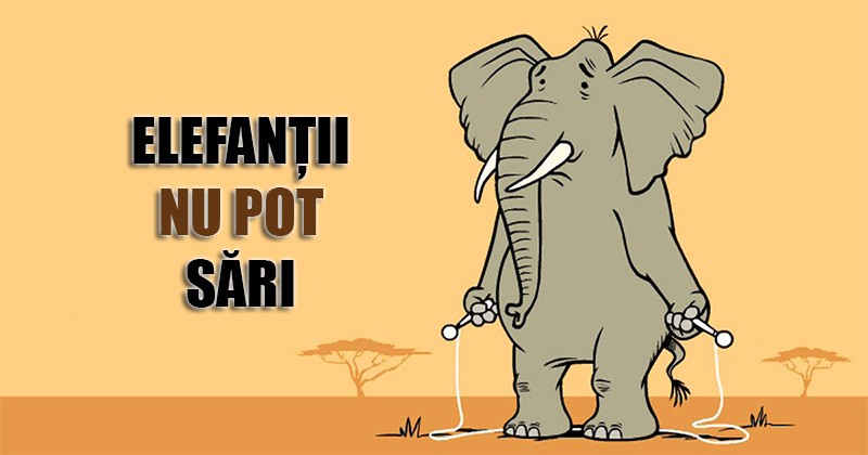 14 fapte interesante despre regnul animal, pe care probabil le cunoșteai până acum