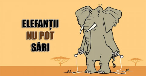 14 fapte interesante despre regnul animal, pe care probabil le cunoșteai până acum
