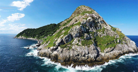 Queimada Grande - cea mai periculoasa insula din lume