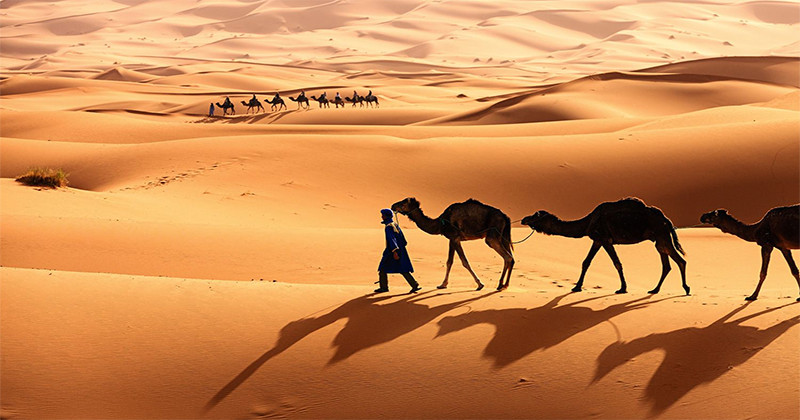 Deșertul Sahara – cel mai mare deșert uscat din lume