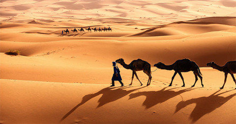 Deșertul Sahara – cel mai mare deșert uscat din lume
