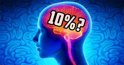 Este adevărat că folosim doar 10% din creier?