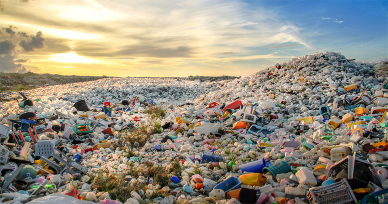 Curiozități despre plastic: ce se întâmplă cu plasticul aruncat?