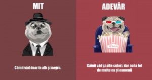 12 Mituri Despre Animale Pe Care Încă Le Credem