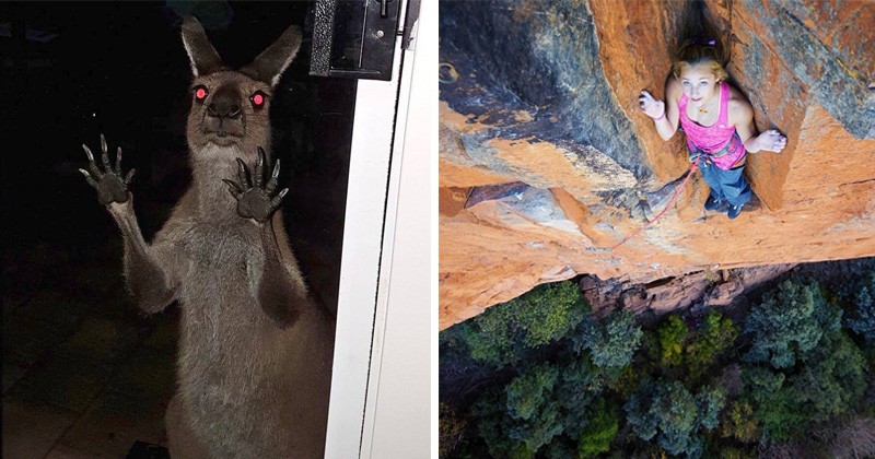 20+ Fotografii Care îți Cresc Nivelul de Adrenalină din Sânge